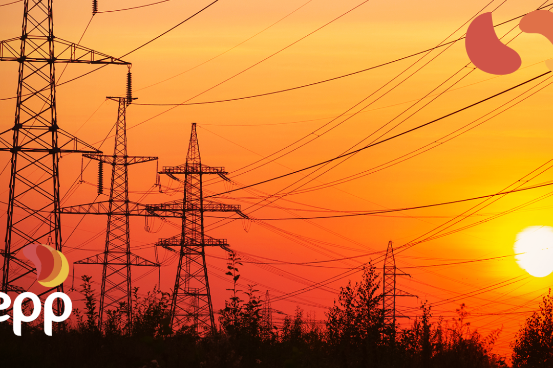 What are the regulatory agents of the Free Energy Market?
