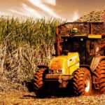The importance of biomass for the energy matrix