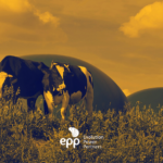 Incentivo ao biogás: entenda o Projeto de Lei proposto!