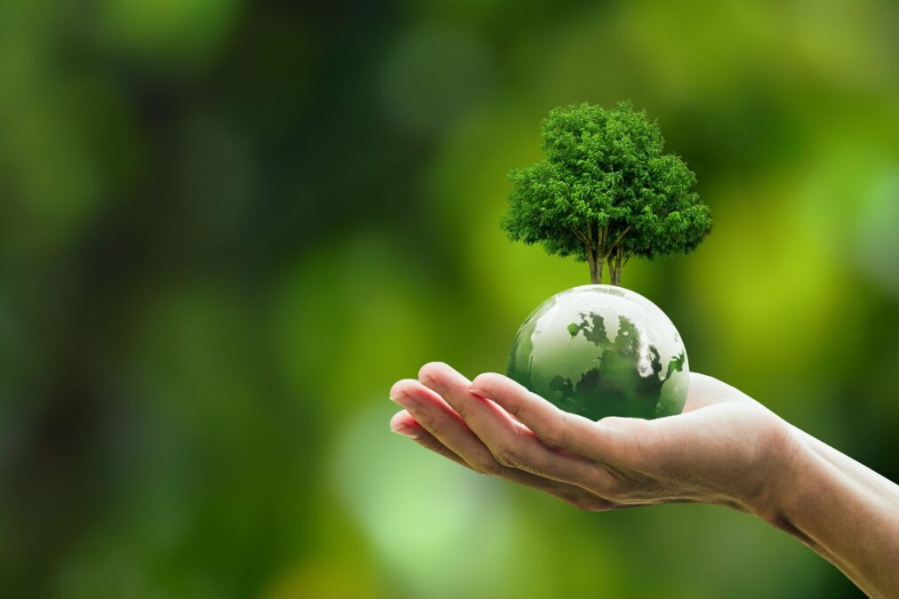 Crédito de carbono: o novo motor da economia brasileira e da sustentabilidade Global