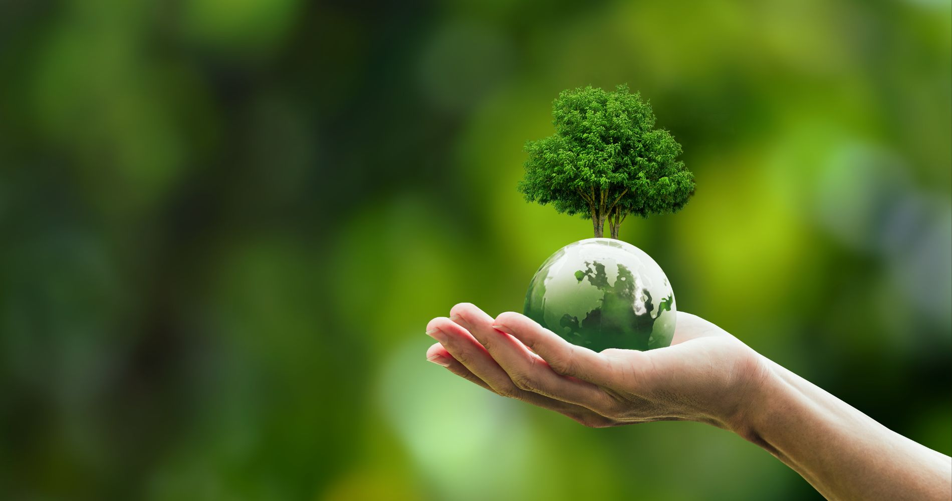 Crédito de carbono: o novo motor da economia brasileira e da sustentabilidade Global