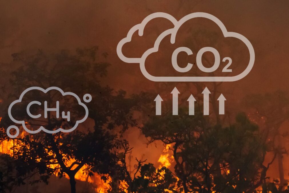 Entendendo os vilões climáticos: um guia completo sobre os gases de efeito estufa