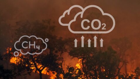 Entendendo os vilões climáticos: um guia completo sobre os gases de efeito estufa
