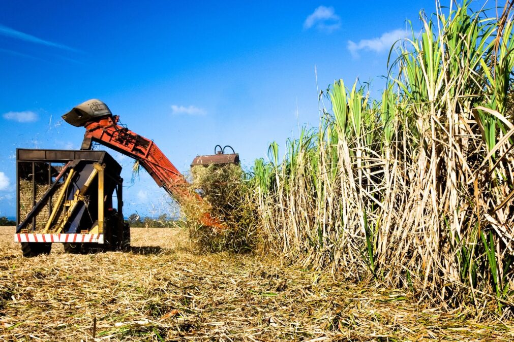 Avanços tecnológicos e sustentáveis da biomassa no Brasil