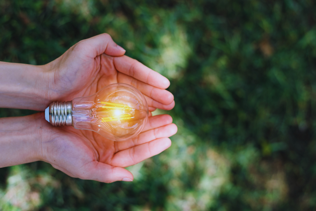 Empresas e Energia Renovável: O Papel Vital para um Futuro Sustentável