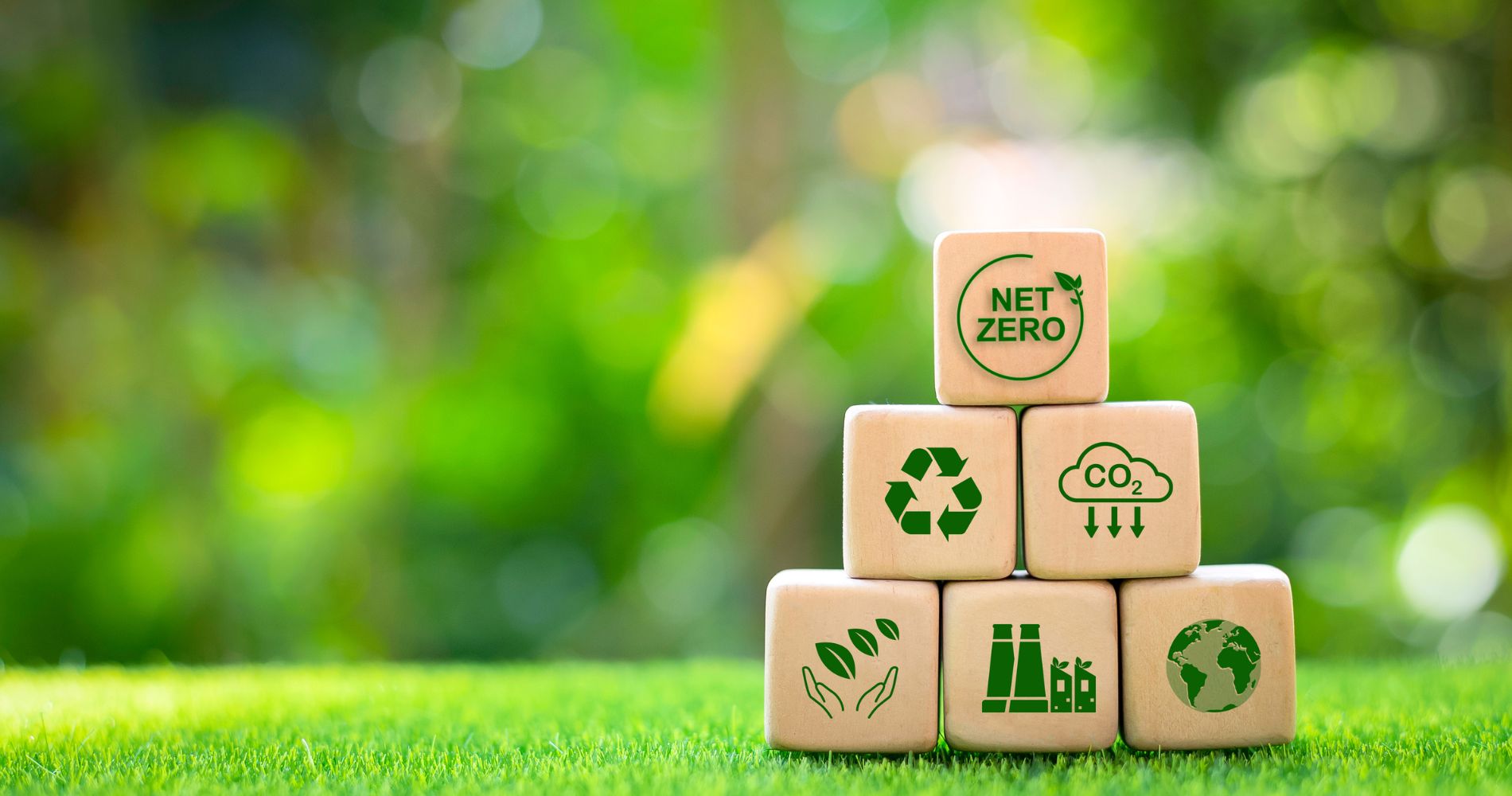 Descarbonização: Caminhos para um Futuro Sustentável através da Transição Energética