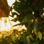 Energia limpa impulsiona sustentabilidade e transforma economias globais