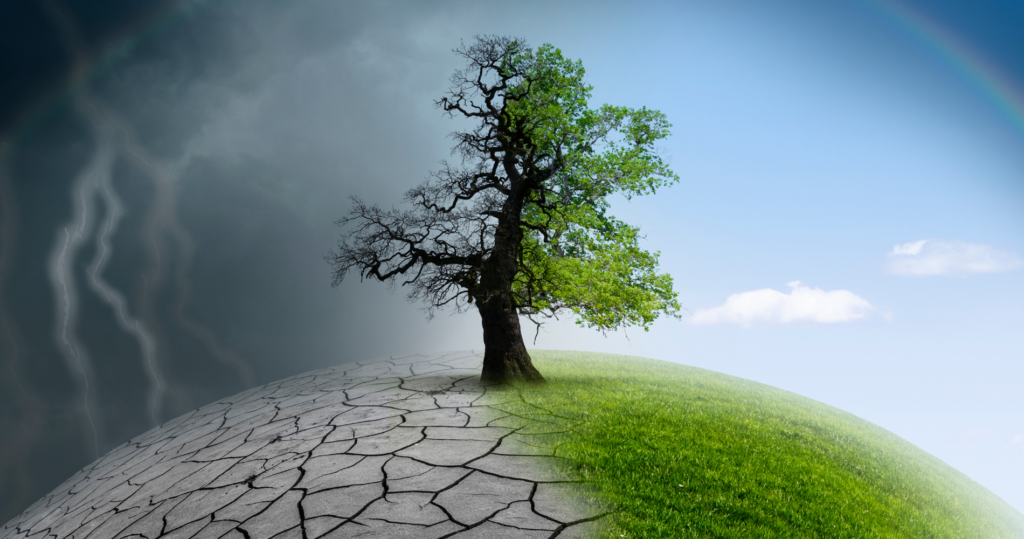 Mudanças Climáticas e Mitigação: O Imperativo de 2025 para um Futuro Sustentável
