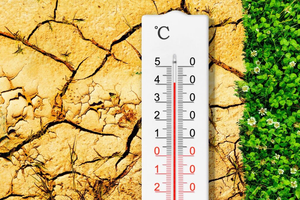 Como a corrida pela energia limpa se tornou a única saída para a crise climática