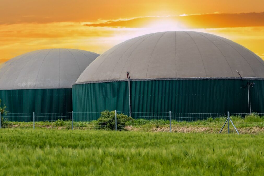 Do passivo ambiental ao ativo estratégico para o Brasil