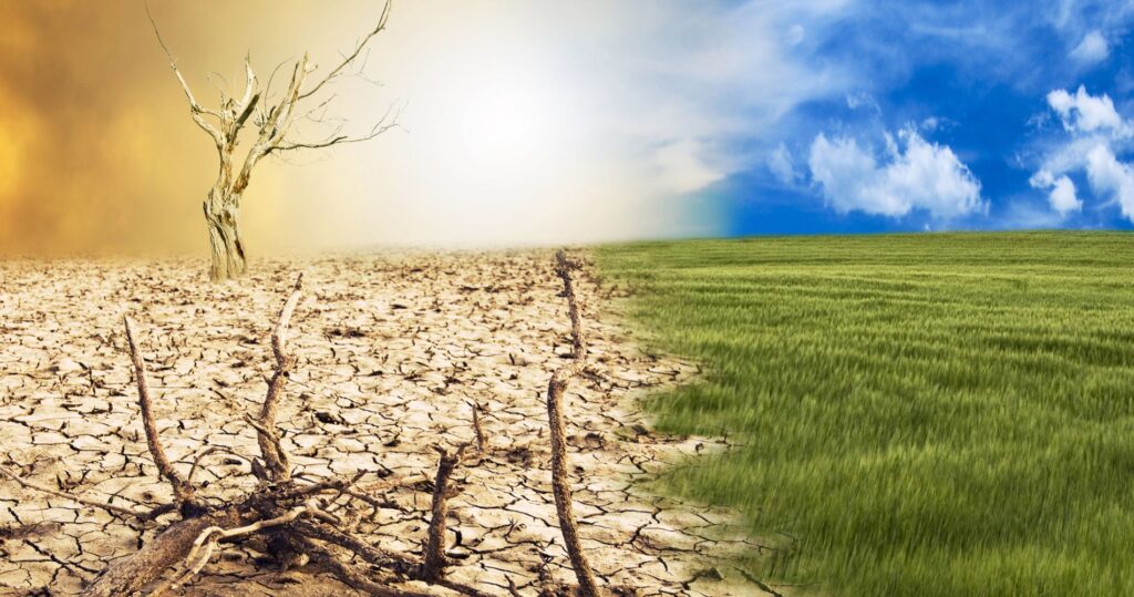 O ESTUDO QUE QUANTIFICA O CUSTO DA INAÇÃO CLIMÁTICA: R$ 17 TRILHÕES ATÉ 2050