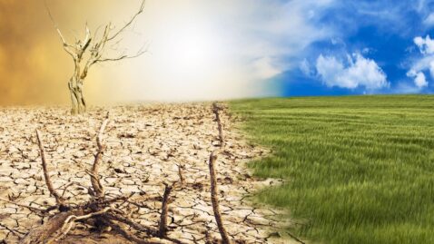 O ESTUDO QUE QUANTIFICA O CUSTO DA INAÇÃO CLIMÁTICA: R$ 17 TRILHÕES ATÉ 2050