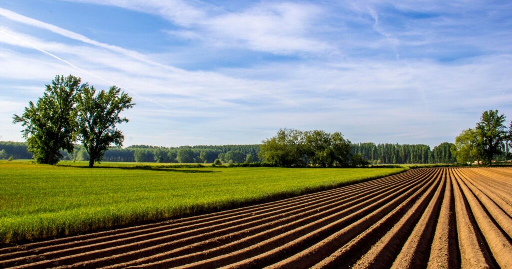 A Agricultura Que Alimenta o País: Perdendo Produtividade