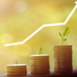 Descarbonização Sai do Discurso e Entra nas Planilhas