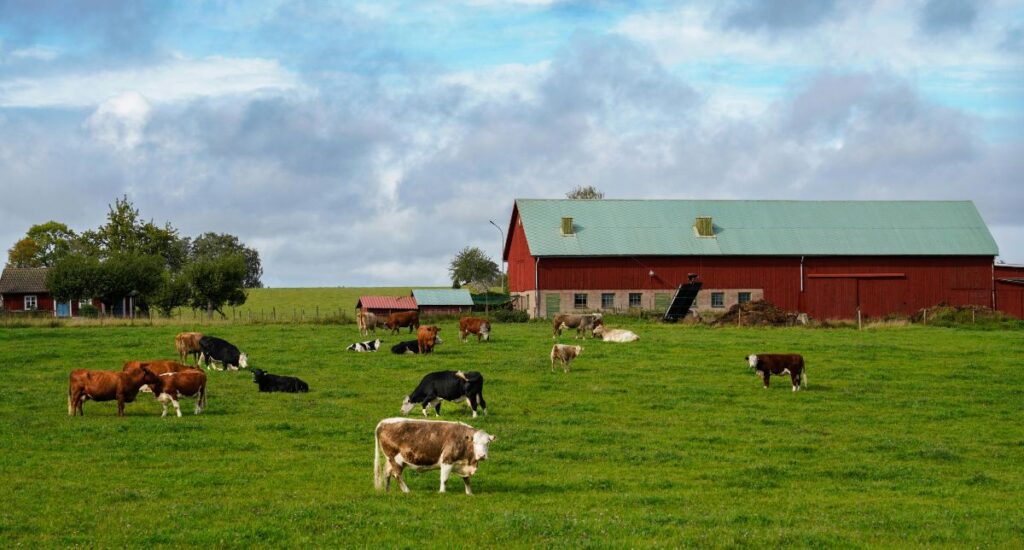 O Pré-Sal Caipira e a Moeda Verde: Como os CGOBs Estão Redefinindo o Futuro da Energia no Brasil