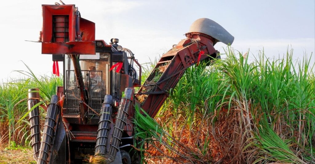 Do potencial ao mercado: infraestrutura e rastreabilidade marcam nova etapa do biometano no Brasil